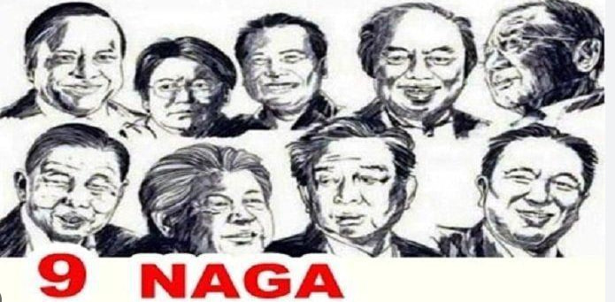 9 NAGA DAN IKN ( INVESTOR BESAR UNTUK PEMBANGUNAN IBU KOTA NUSANTARA )